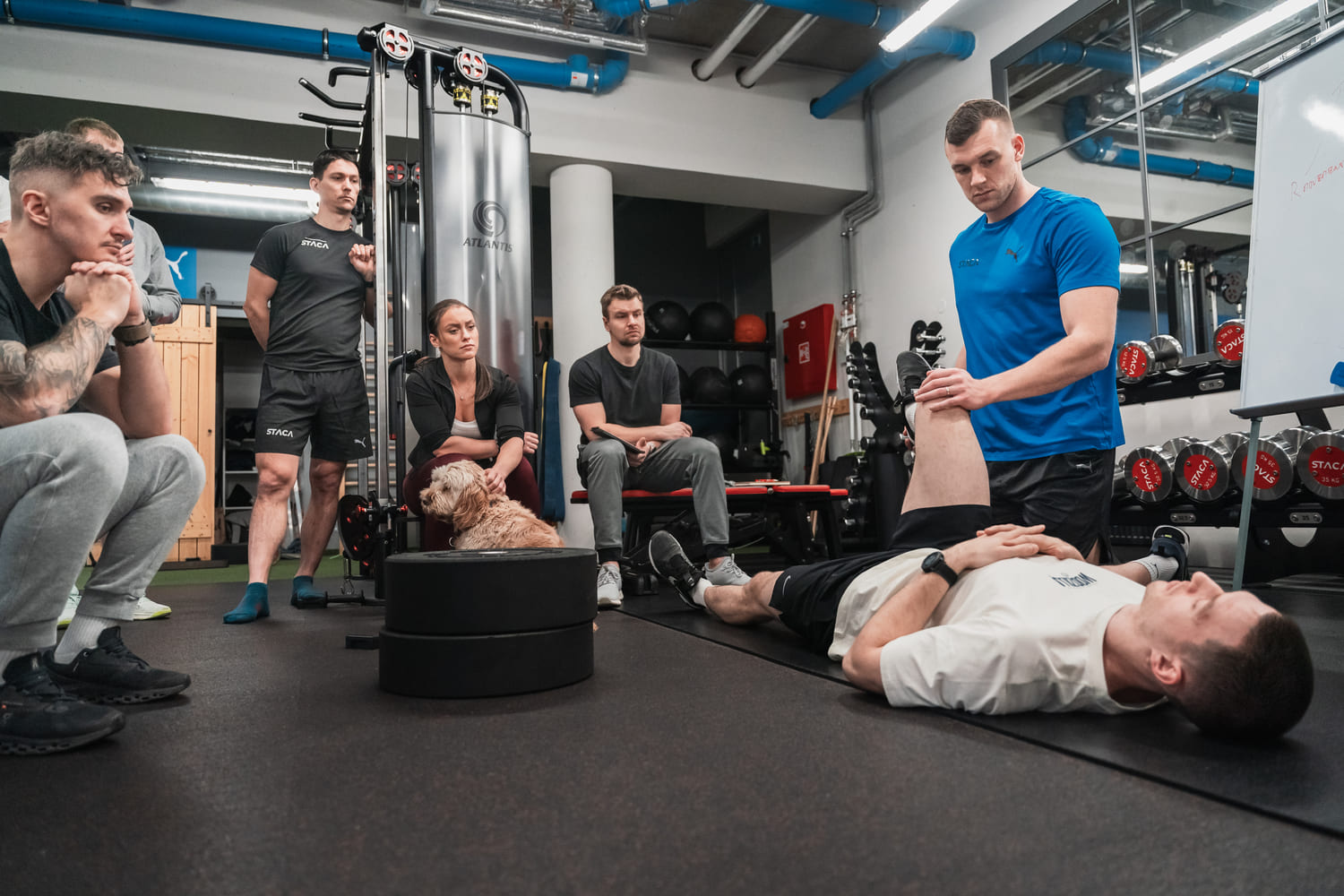 Coaches Guide: Strukturální poškození kyčle